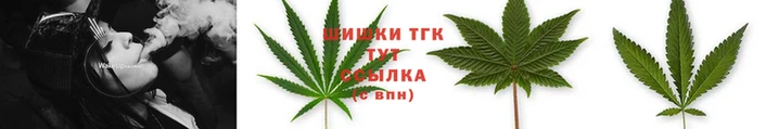 сатива Алексеевка