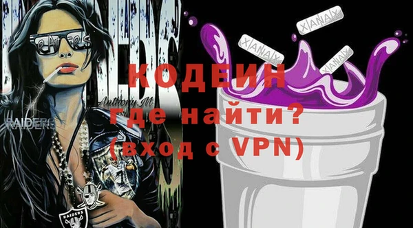 хмурый Алексин