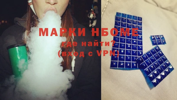 хмурый Алексин