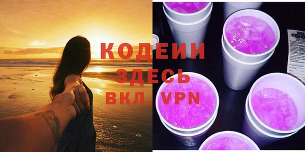 хмурый Алексин