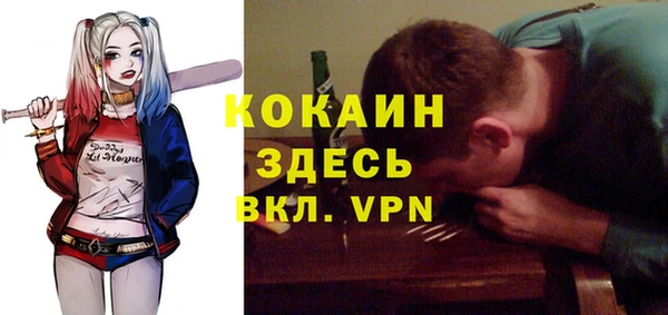 хмурый Алексин
