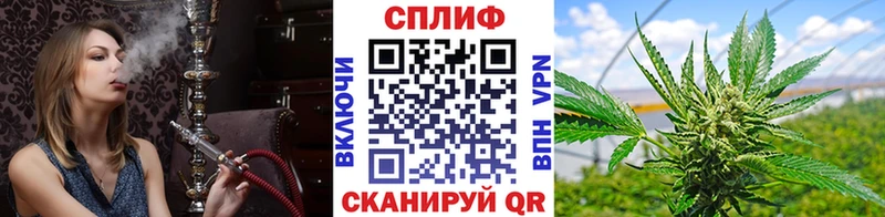 Бошки Шишки VHQ Севастополь